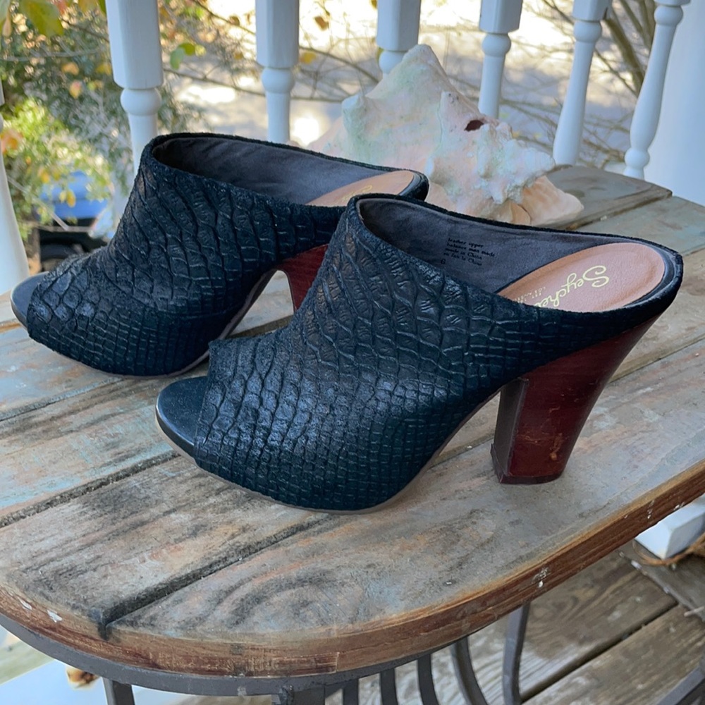 Seychelles shoes